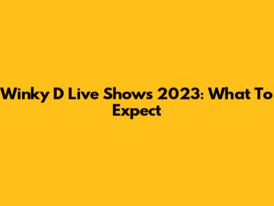 Winky D Live Shows 2023: What To Expect